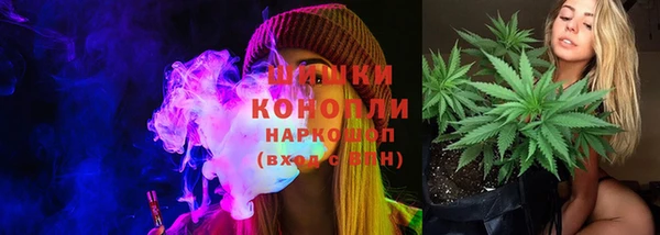 PSILOCYBIN Аркадак