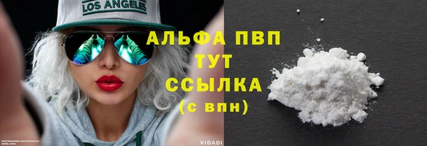 PSILOCYBIN Аркадак