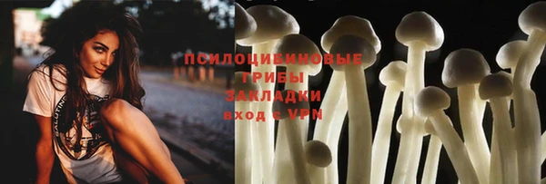 стаф Армянск