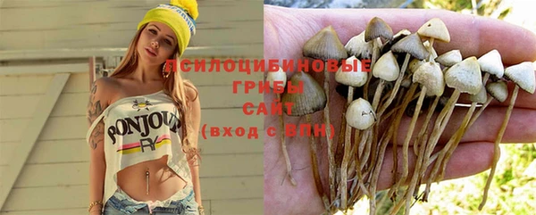 стаф Армянск