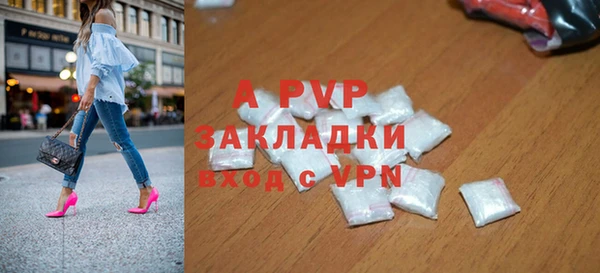 PSILOCYBIN Аркадак