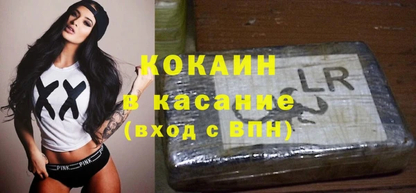 PSILOCYBIN Аркадак
