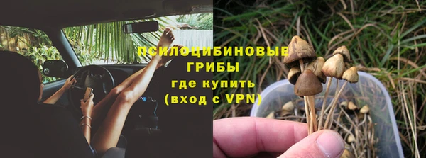 стаф Армянск