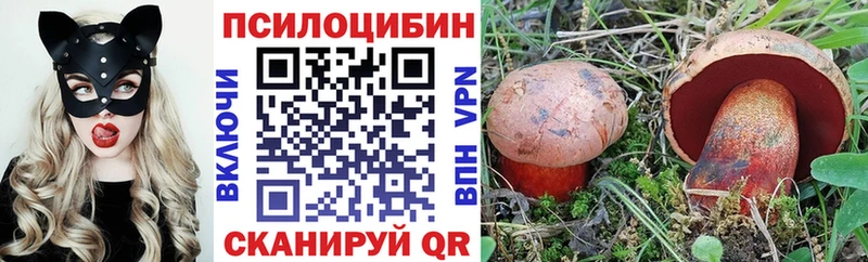 Галлюциногенные грибы мицелий Вихоревка