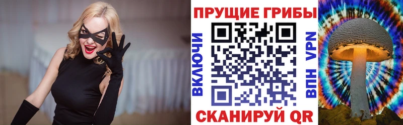 Галлюциногенные грибы Psilocybine cubensis  купить наркотик  Вихоревка 